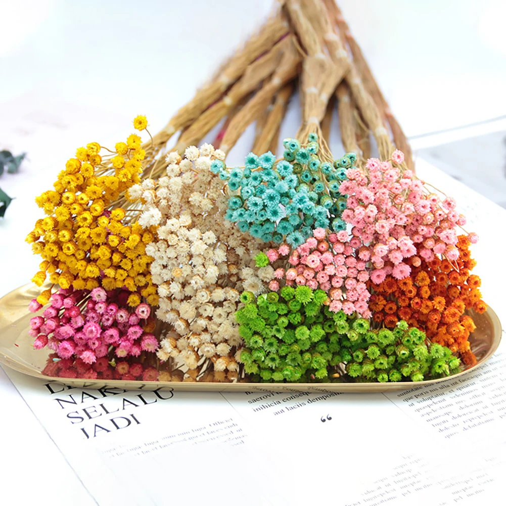 50pcs / lot Happy Flower Natural Dried Flower Bouquet Home Decoration Real Flower Diy Flower Arrangement Flower Shooting Props