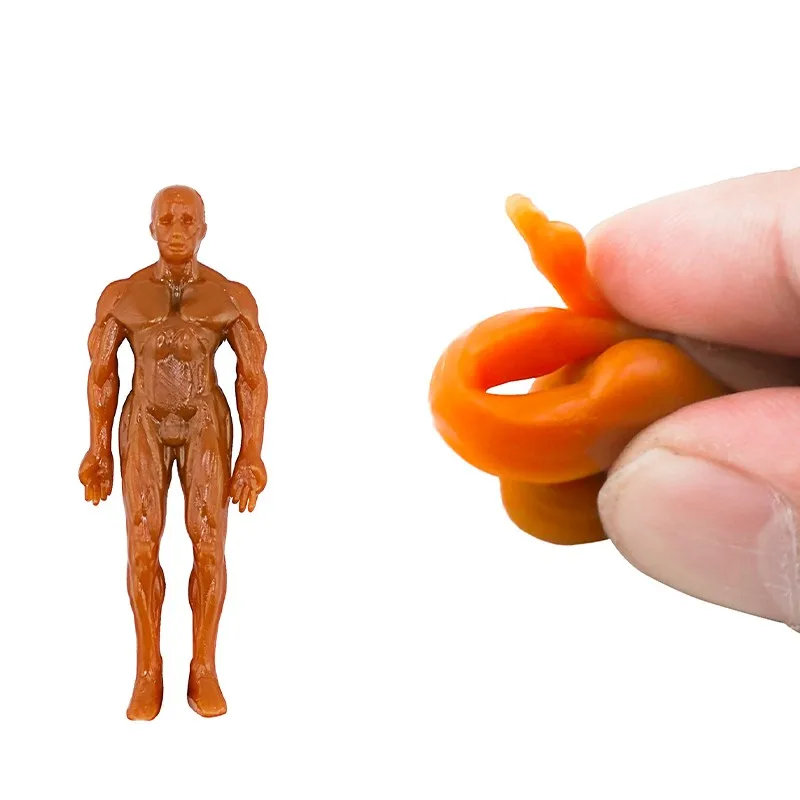 Squishy Fidget Toy Stretchy Muscle Man Soft Sticky Pull Wall Climbing Bodybuilder Stress Relief Anxiety Calming TPR Rubber Adult