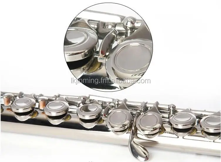 Wholesale Cupronickel closed holes Flute for student offet G key C foot