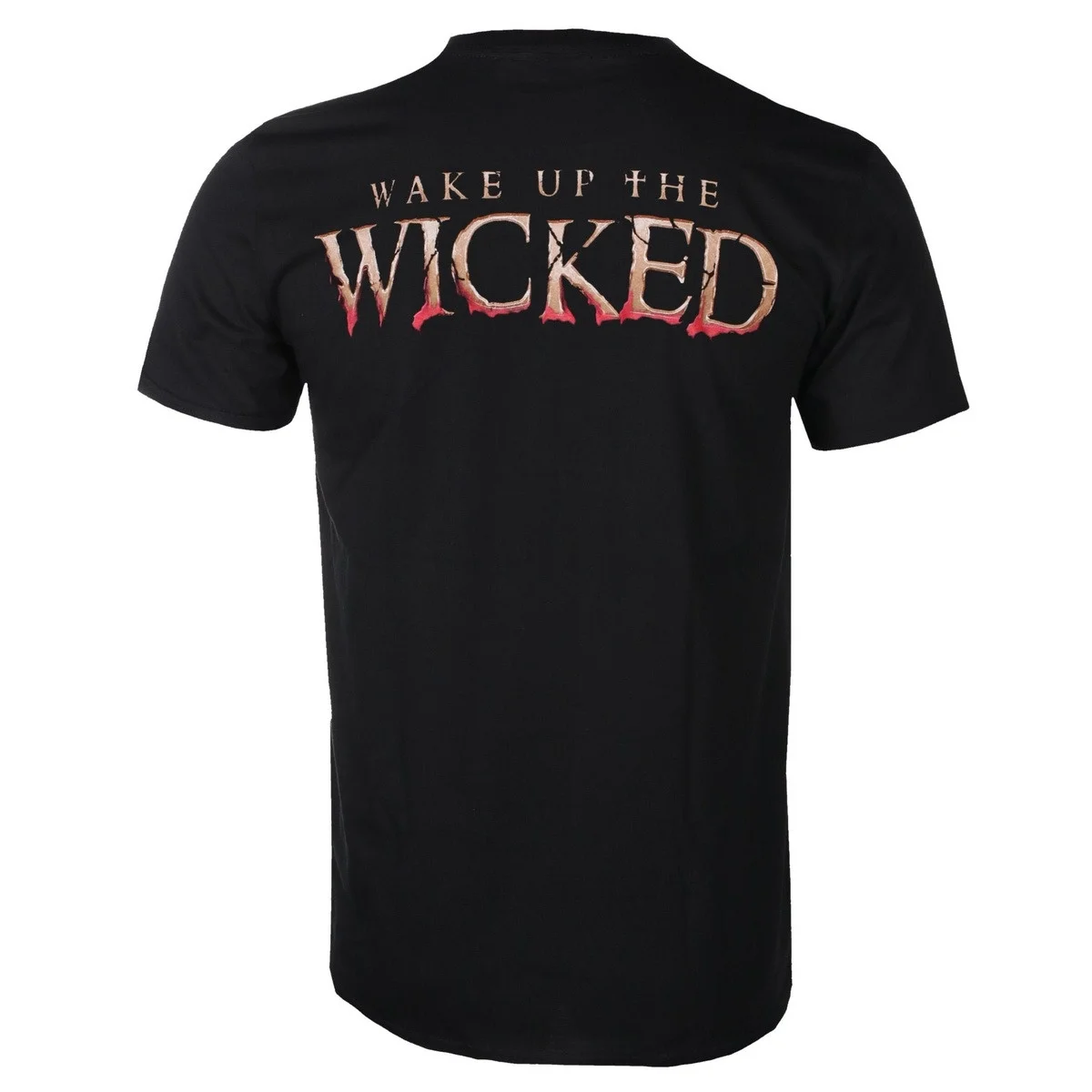 Powerwolf Band Double Sided Wake Up The Wicked Crown King Wolf on Stone Throne Scepter Dark Epic Oil Painting Graphic Tee