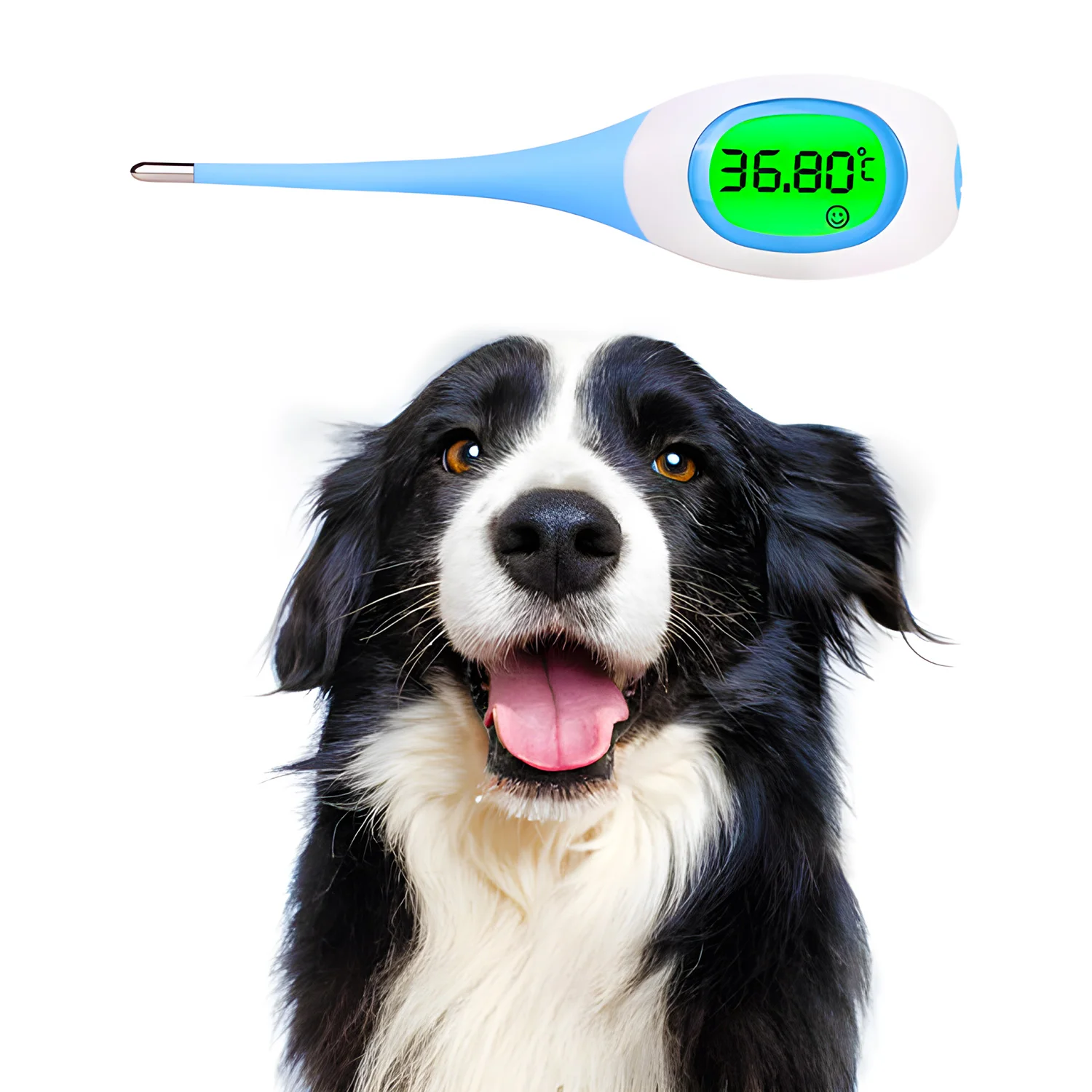 Fast-Accurate Smart Pet & Livestock Thermometer - Professional Veterinary Thermometer for Cats, Dogs, Horses, Cattle