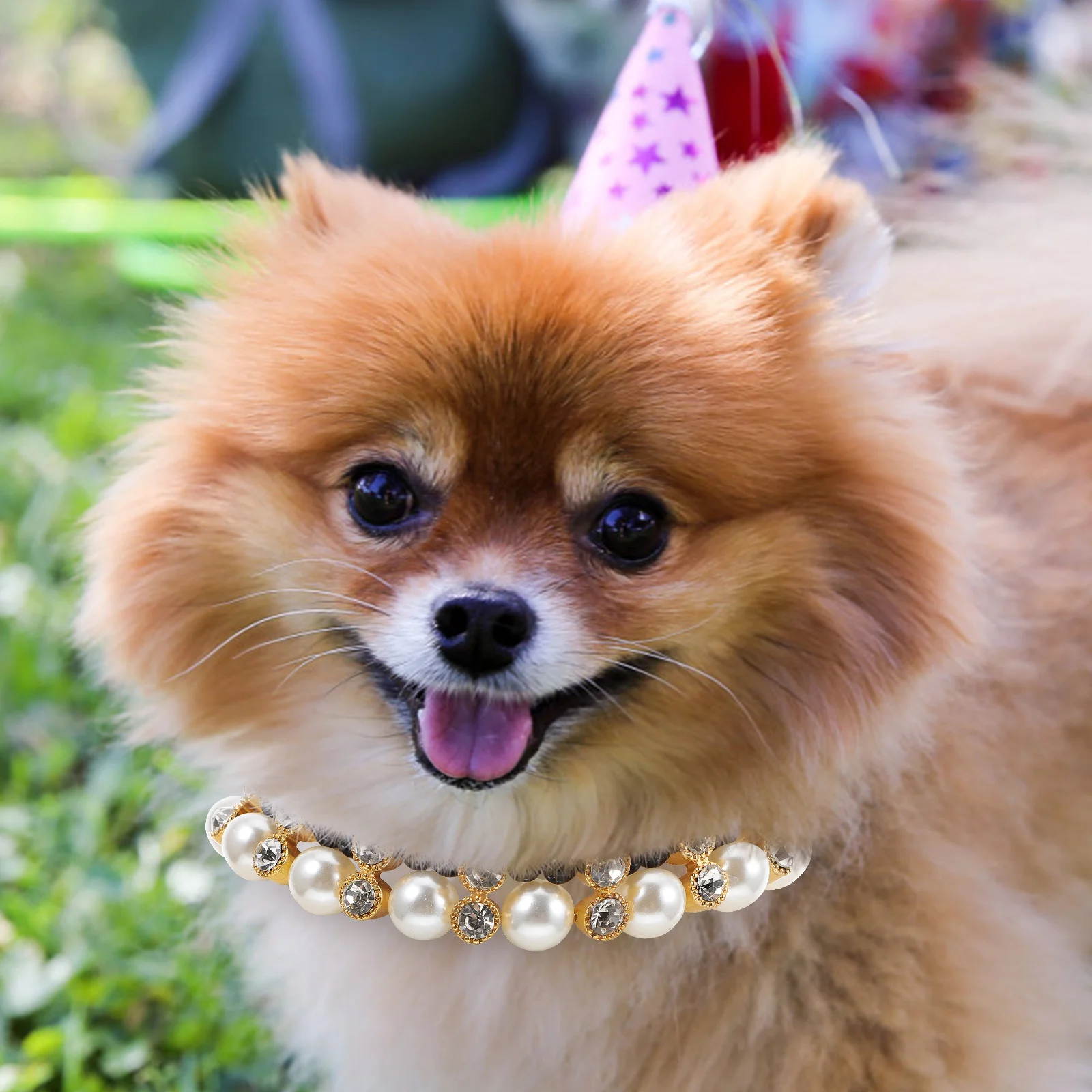 

Pet Pearl Collar Dog Necklace Bright Colors Non fade Puppy Decorative Ribbon Outdoor Walks Weddings Parties Fashionable