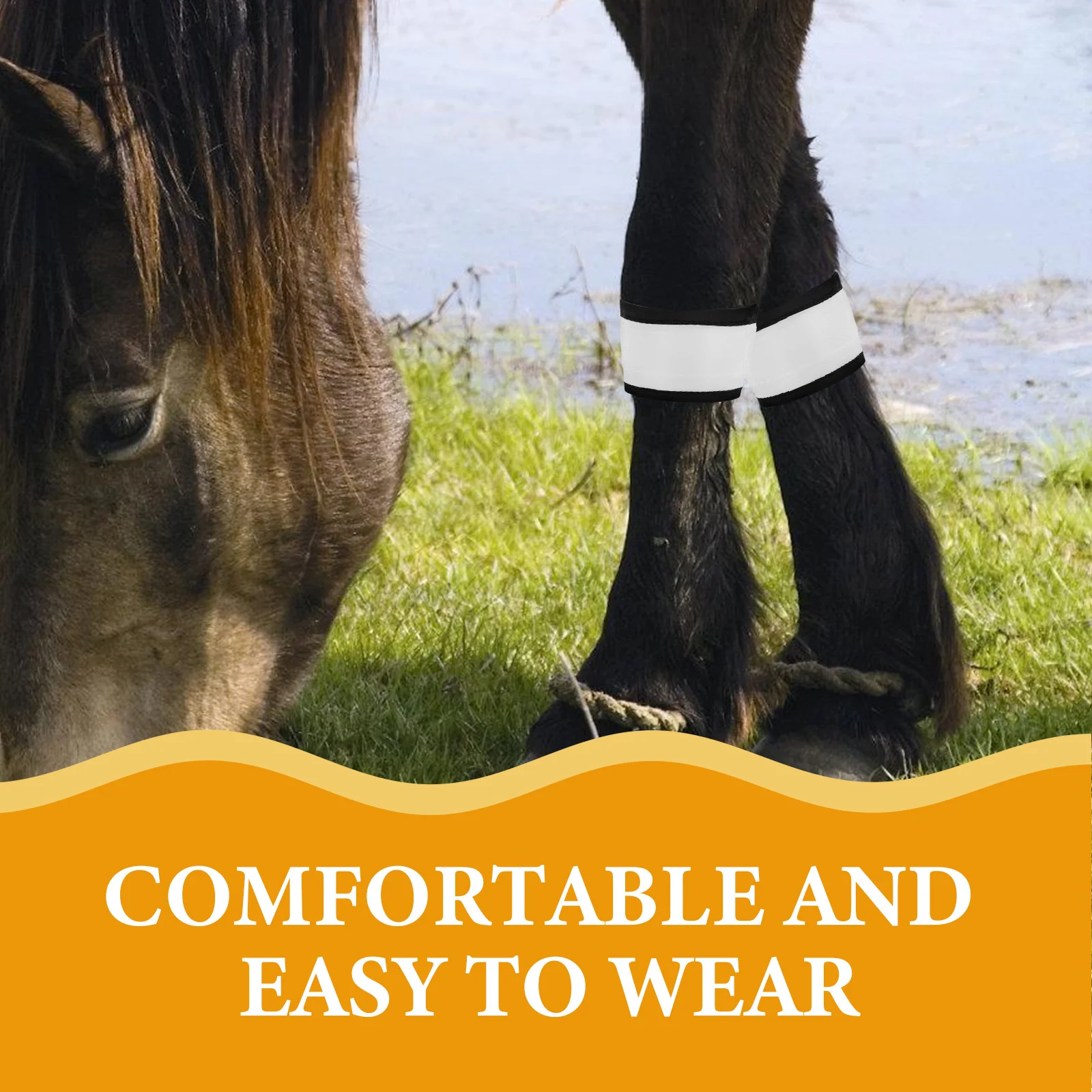 4 قطعة وامض LED الحصان الساق العصابات مقاوم للماء متوهجة الكاحل الأشرطة ليلة ركوب الرياضة في الهواء الطلق معدات سلامة الفروسية #3