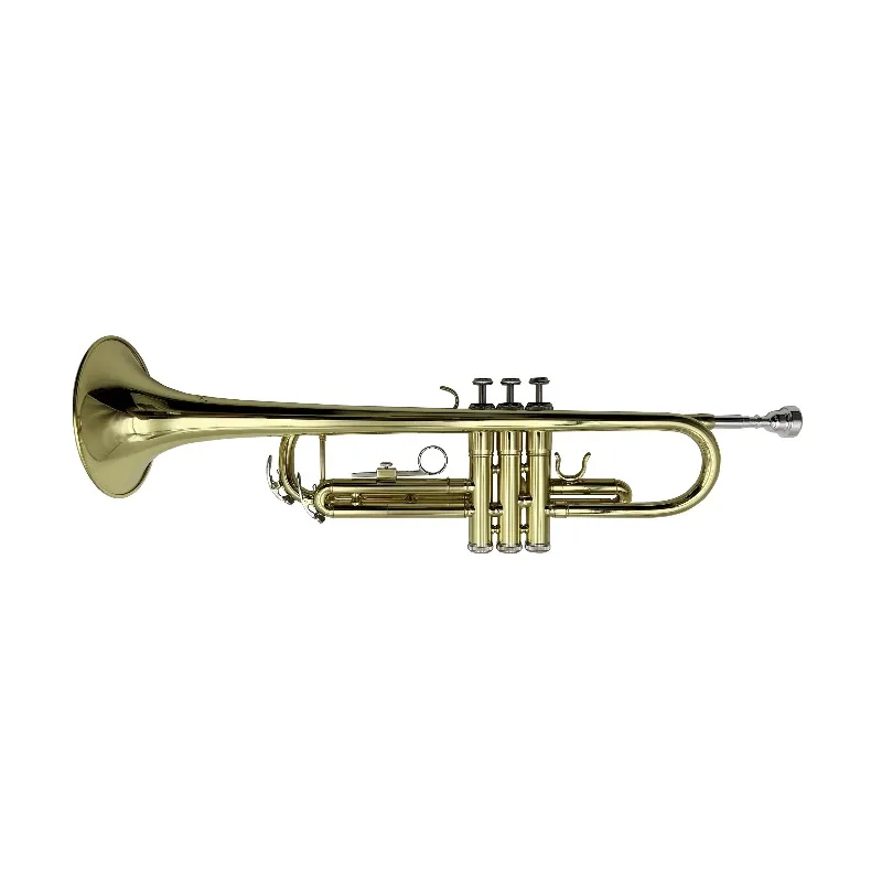 Accept OEM High Quality Cheap Gold Bb Trumpet Brass JYTR401