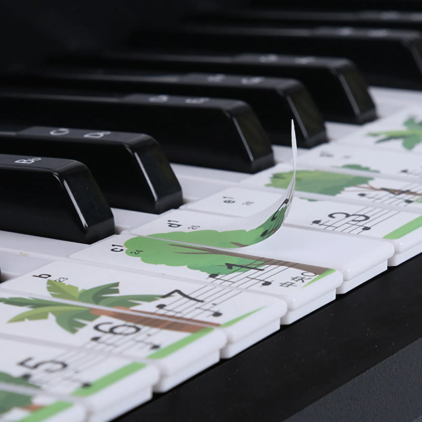 

1Pack Piano Keyboard Sticker Anti-Sweat Long-Lasting Introductory Decal for Beginner Piano Teaching Accessory Keyboard Sticker