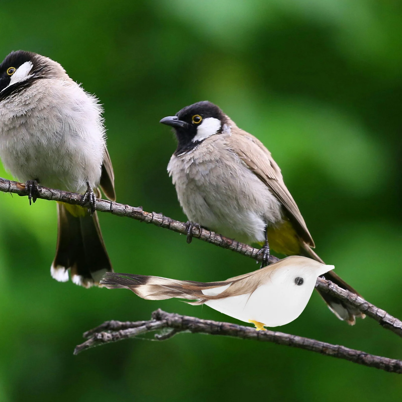 

24 Pcs Decor Adorable Bird-shaped Animal Ornaments Simulation Coffee Artificial Plume