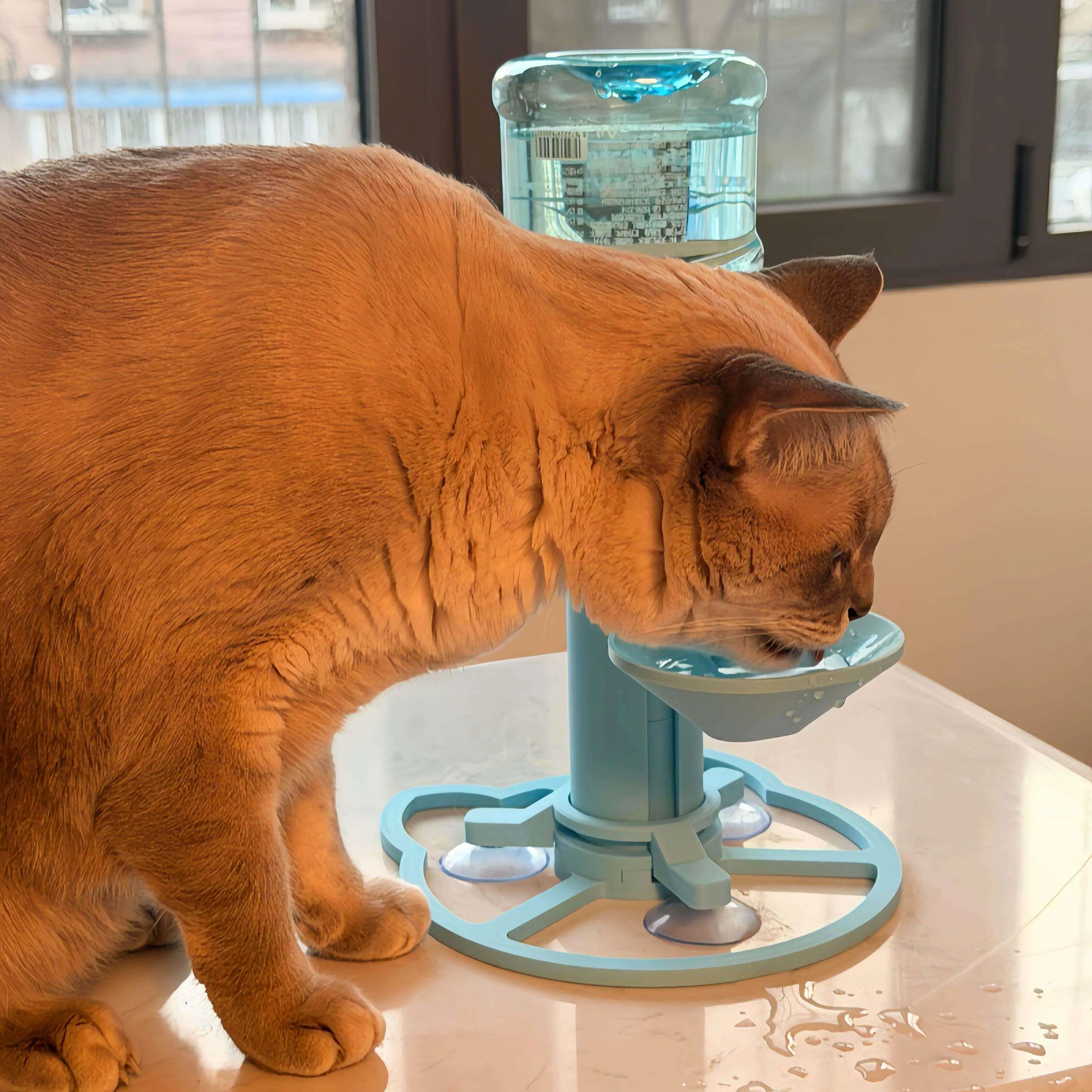 Automatic Stand-up  Drinking Water Machine Self-refilling Pet Water Dispenser Anti-tipping  Water Fountain Filter