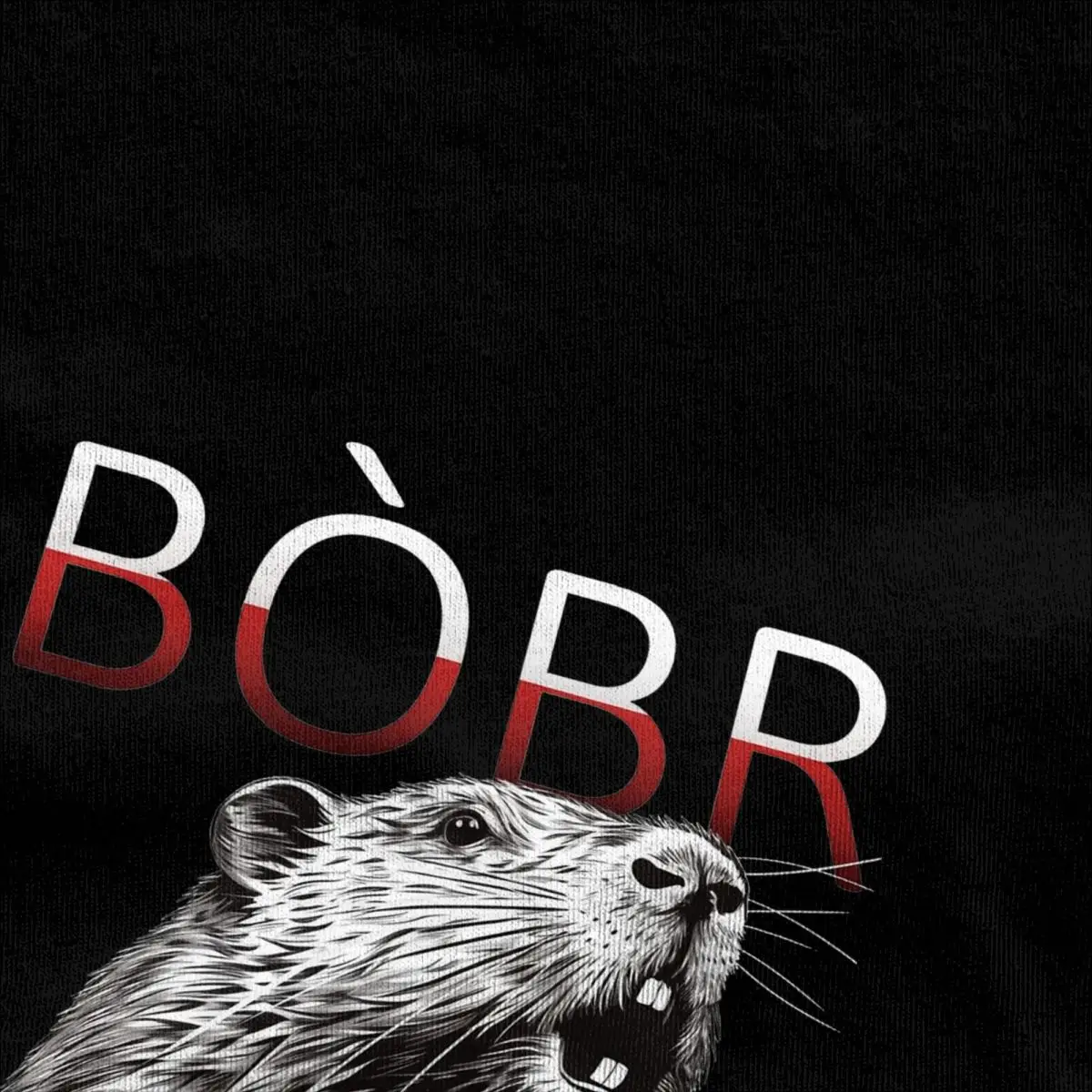 Polish Beaver Meme Bobr Bober Kurwa T-Shirt Man Y2K Casual Cotton T Shirts Summer O Neck Trendy Tees Pattern Oversize Clothing