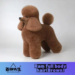 Mr.Jiang Ram  Fake Hair  Pet Teacher Beauty Modeling Practice Dog Model Standard Skeleton Model Dog Whole Body Fake Hair