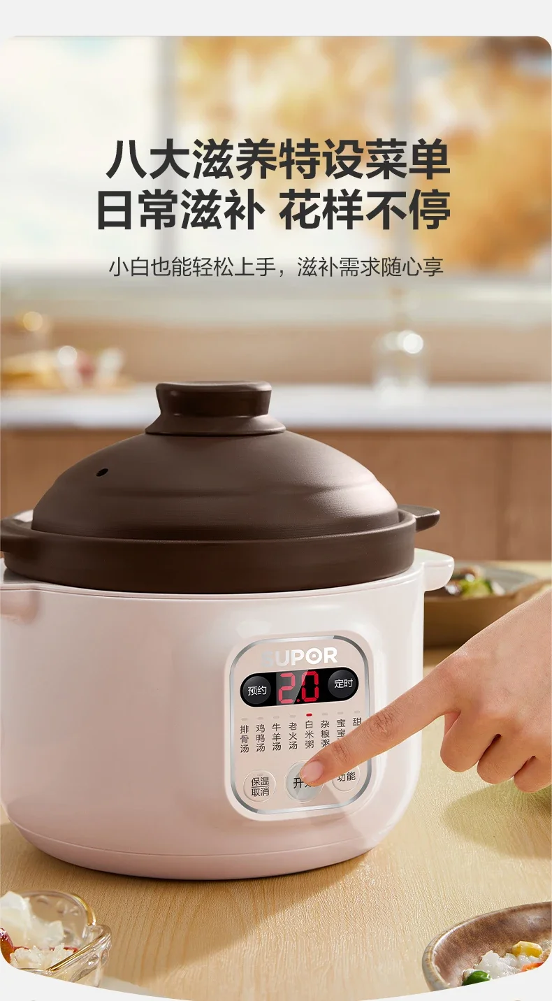 220V Multifunctional Electric Stewpot for Home Use and Health Care with Bird's Nest Mini Electric Stewpot