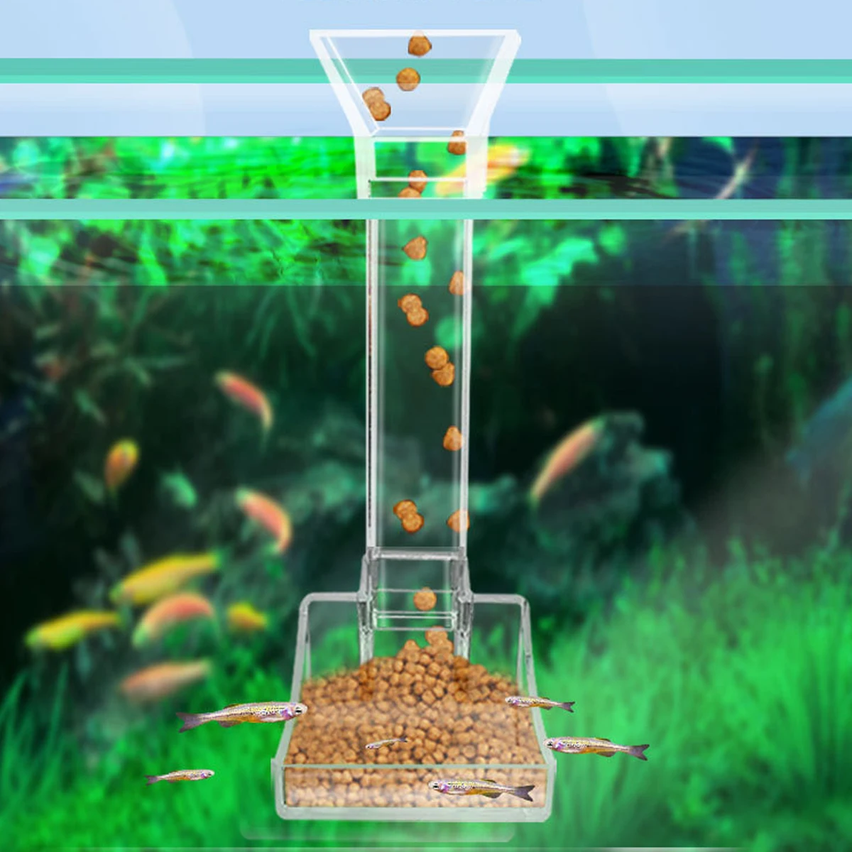 

Aquarium Feeding Accessories Feeding Tube Fish & Shrimp Feeder Sinking-Type Dispenser Crystal Shrimp Feeding Dish Feeding Tray