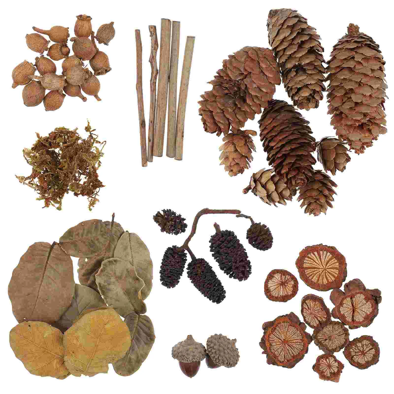 

Natural Acorns Pine Cones Wood Branches Leaves Craft Supplies Set Fall Decorations Photo Props Materials Eco Friendly