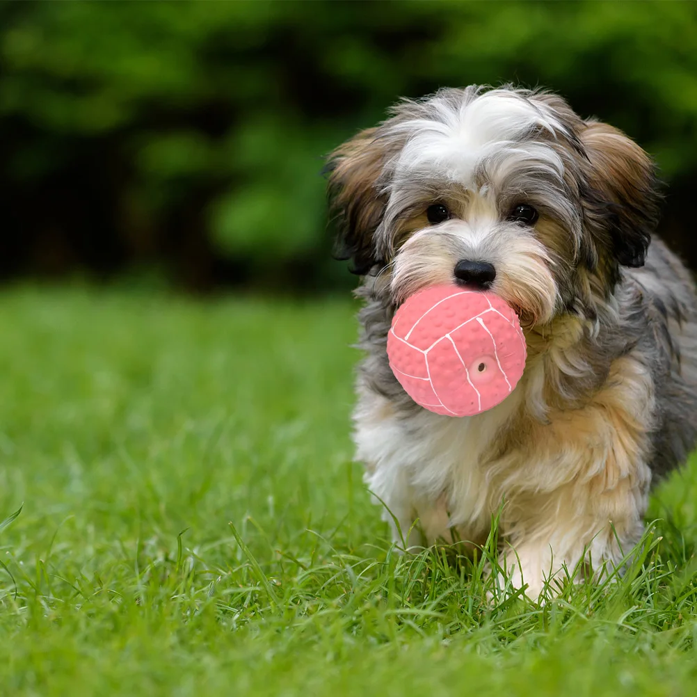 

2Pcs Supple Squeaky Ball for Dogs Elastic Chew Resistant Material Encourages Natural Instincts Keeps Active Indoors Outdoors