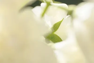 Scy 16101 16102 161…