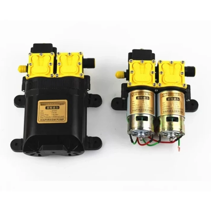 12V Intelligent Double Pump Electric Agricultural Sprayer High Power Water Pump for Farm Garden Irrigation