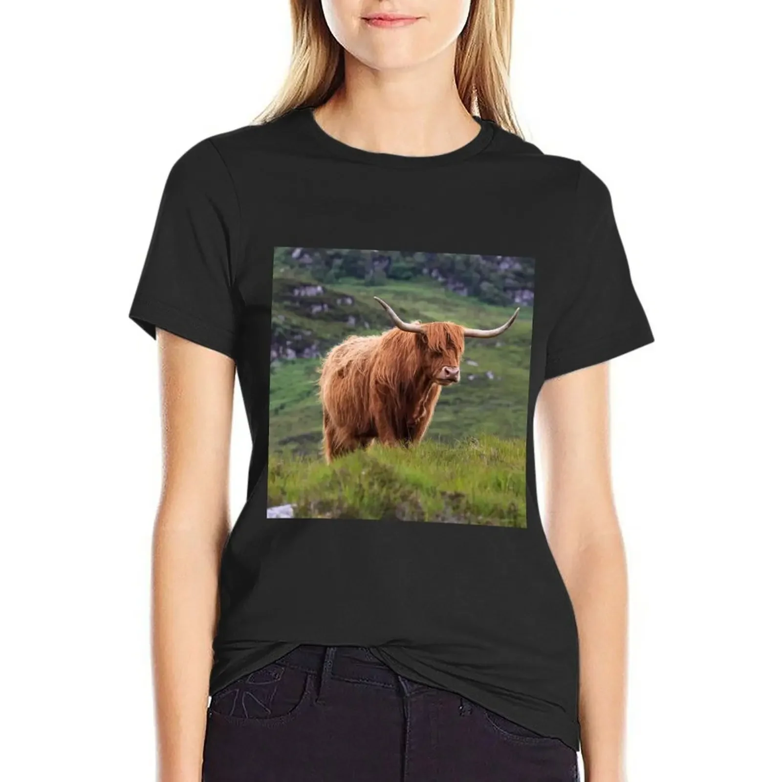 

Highland cow T-Shirt sweat korean fashion female t-shirts for Women loose fit