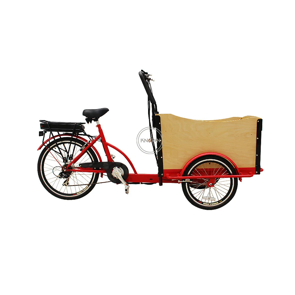 Electric Adult Tricycle Cargo Bike Family Aluminium Frame 6 Gear Speeds Drift Trik Child Seat Bike