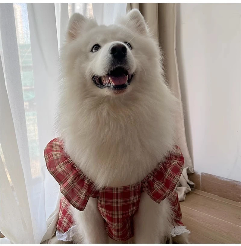 Summer Dog Clothes Pomeranian Poodle Corgi Samoyed Border Collie Samoyed Husky Labrador Golden Retriever Big Dog Clothing Dress