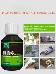 Salmonella pigeons use health products to prevent common diseases of pigeons with diarrhea and green stools