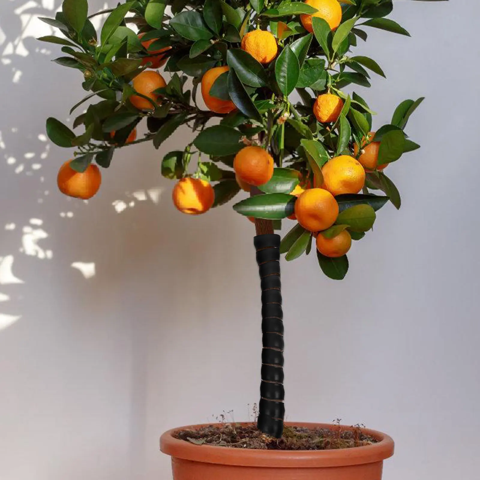 

4Pcs Spiral Tree Trunk Protectors Spiral Wraps Protect Tree Bark from Animals Mechanical Damage for Garden Indoor Outdoor Use