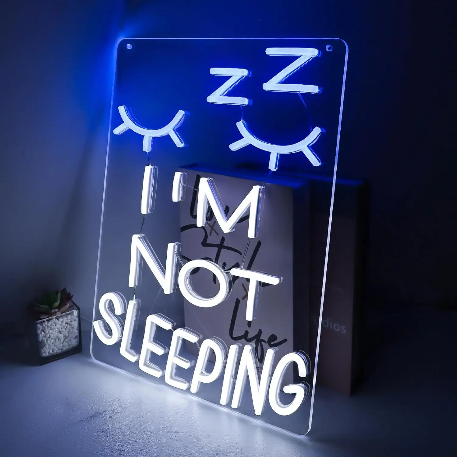 I'm Not Sleeping LED Neon Light - USB Powered, With Dimmer, Adjustable Brightness, Perfect for Bedrooms, Game Rooms, Fun Decor