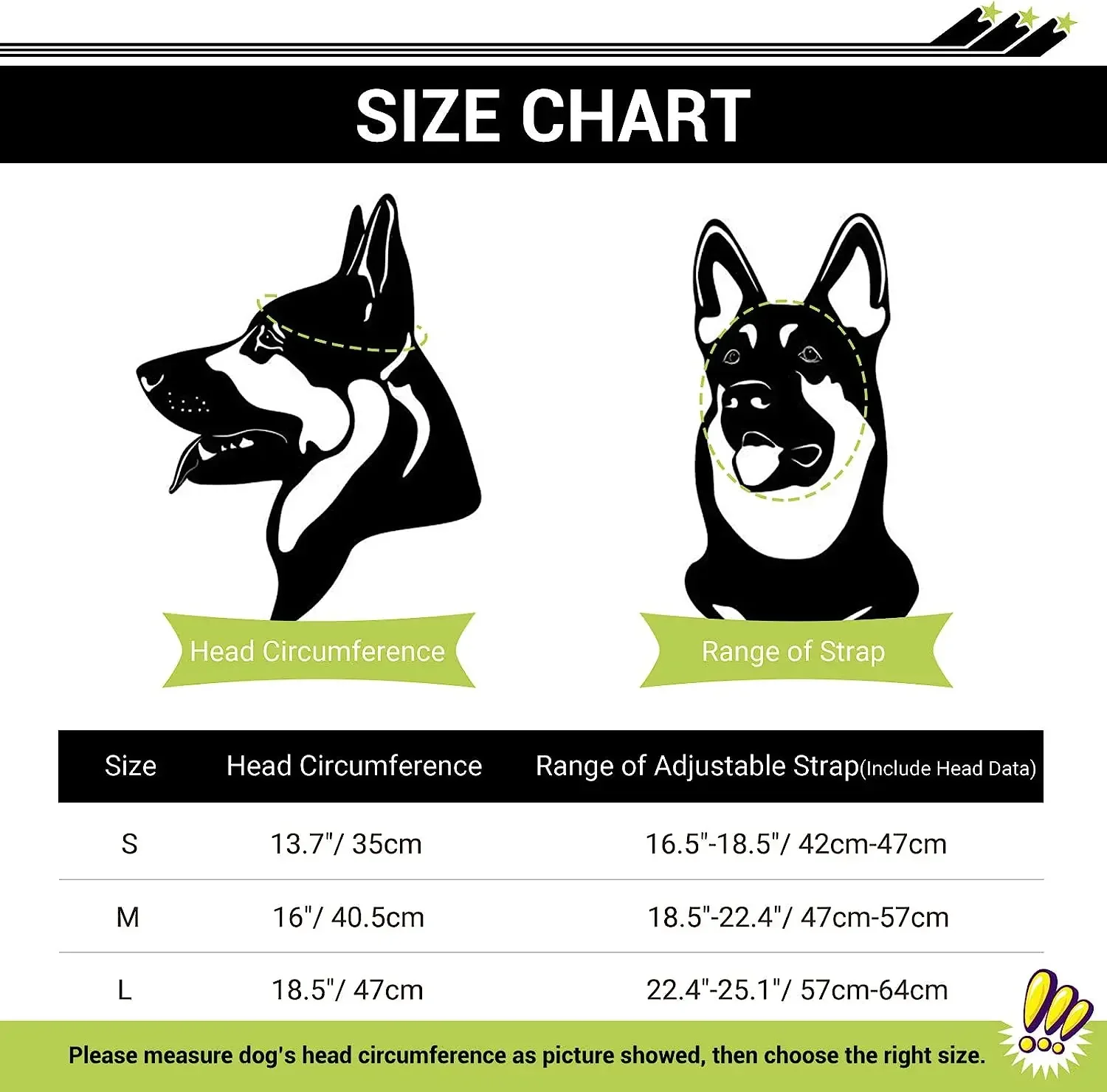 Dog Helmet & Sunglassesg 4