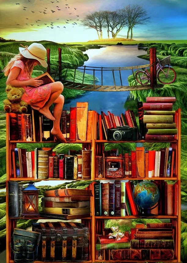 Div 5D Book Bookcas…