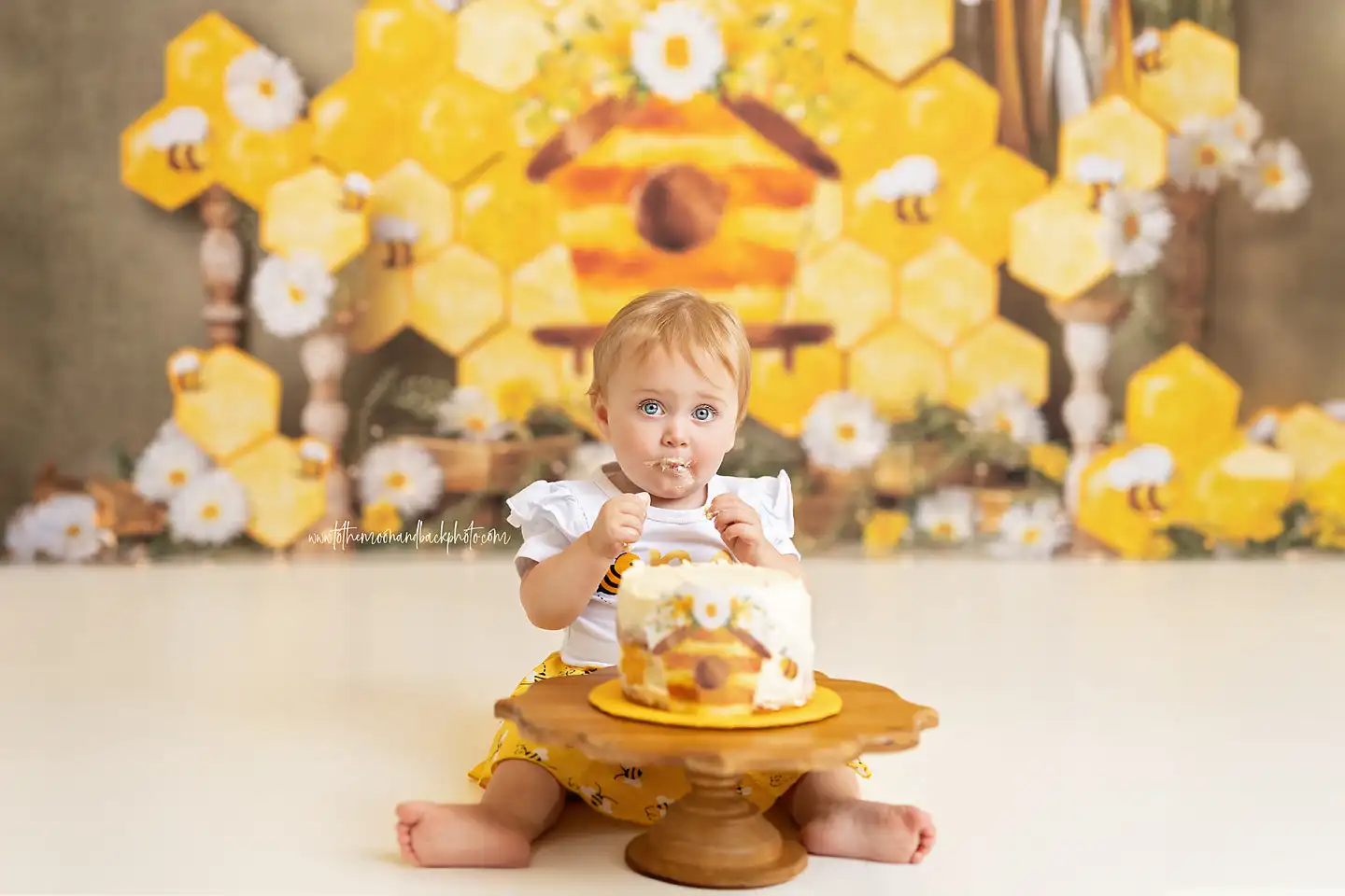 Bumble Beauty Backgrounds Cake Smash Adult Family Photography Props Child Baby Decors Flower Hive Bees Photo Studio Backdrops