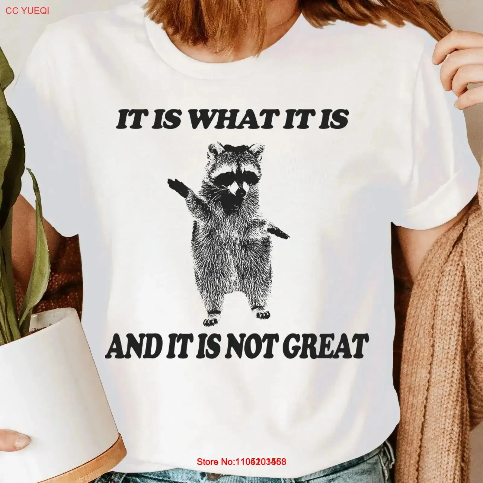 It Is What Raccoon … - image