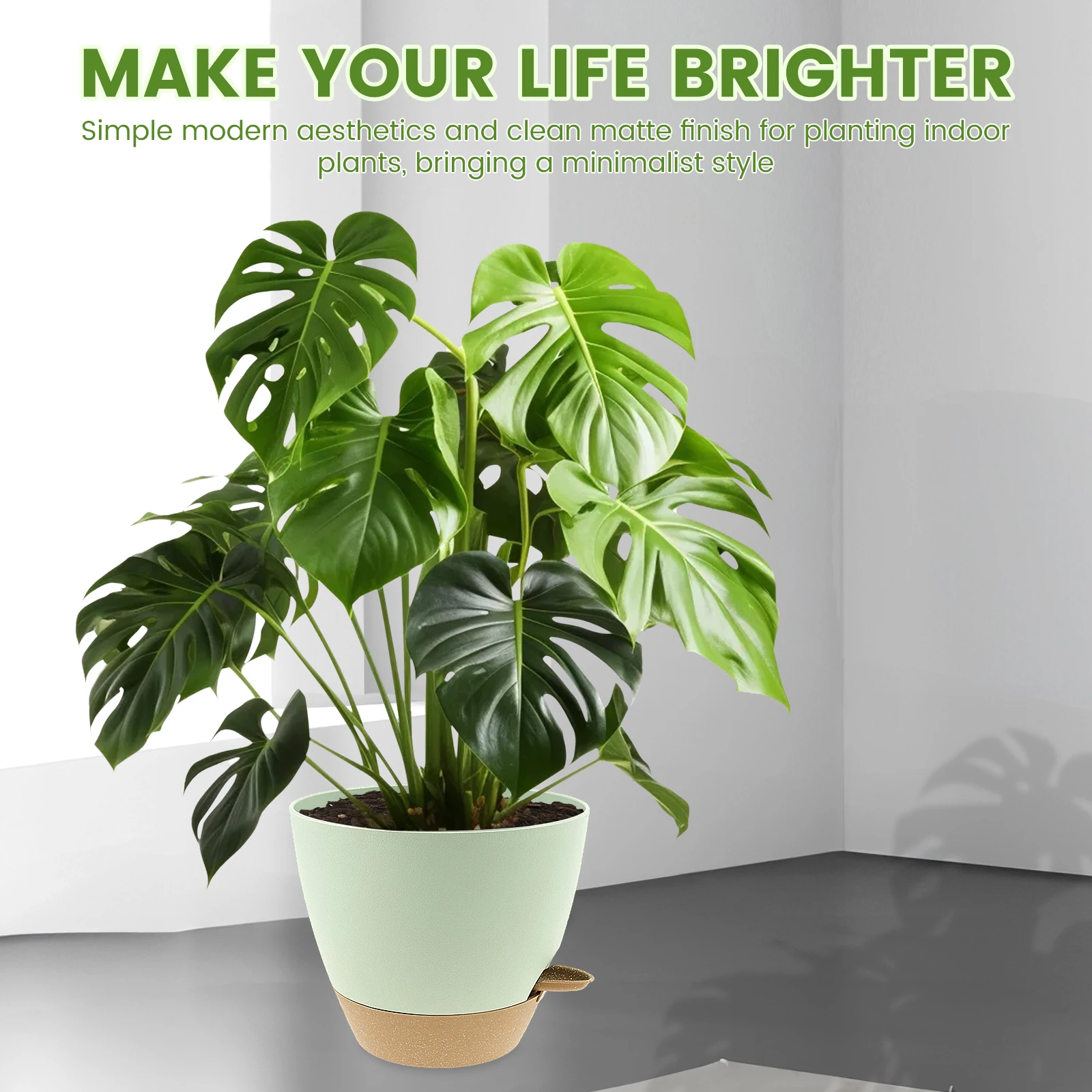 Thumbnail 2 - #8 Trending Plant Pots Right Now