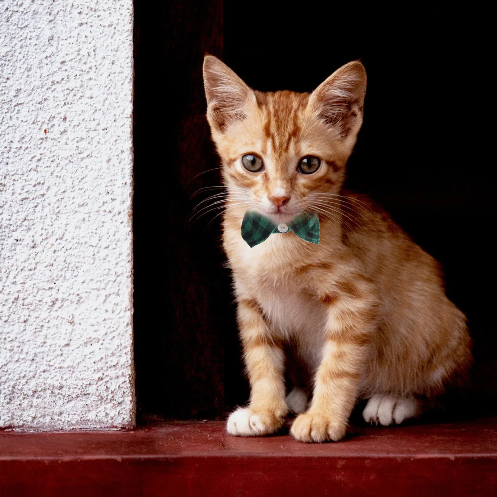 

1pcs Adjustable Cat Collar With Bell Cute Pet Collar For Kitten Breakaway Safety Decorative Collars Cats Party Accessory Pet