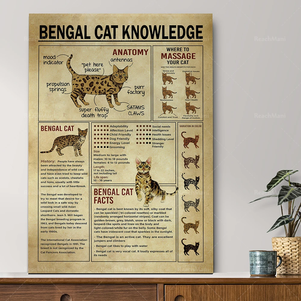 Vintage Bengal Cat Knowledge Canvas Poster, Bengal Cat Anatomy, Gift for Cat Lovers, Bengal Cat Lover, Cat Wall Art Wall Decor.