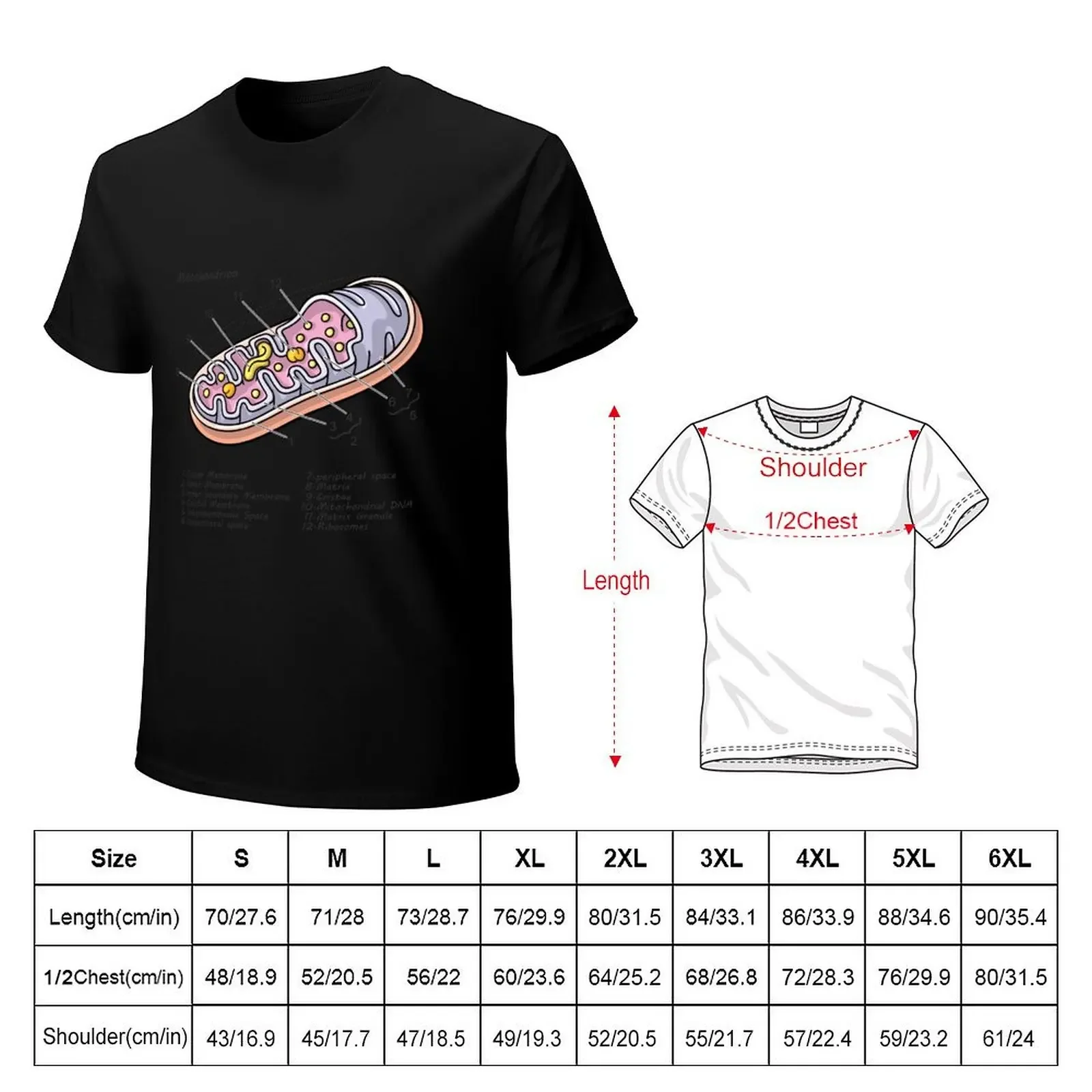 Mitochondrion Cell Biology Diagram T-Shirt graphic tee shirt plus size clothes plus sizes designer t shirt men