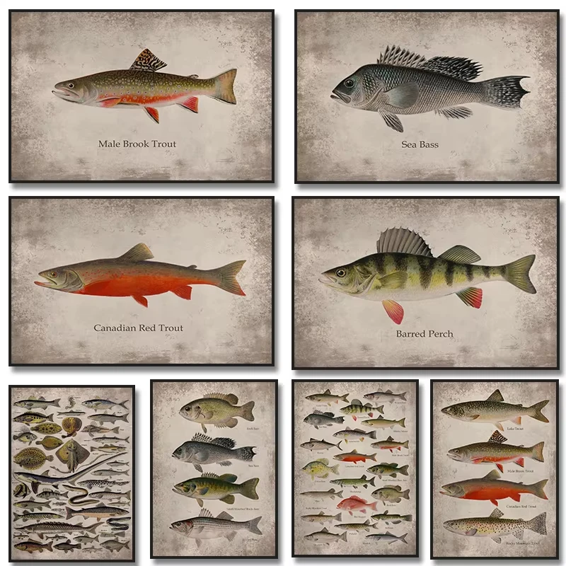 Aquarium Fish Poster - Vintage Types of Fish Lake Sea