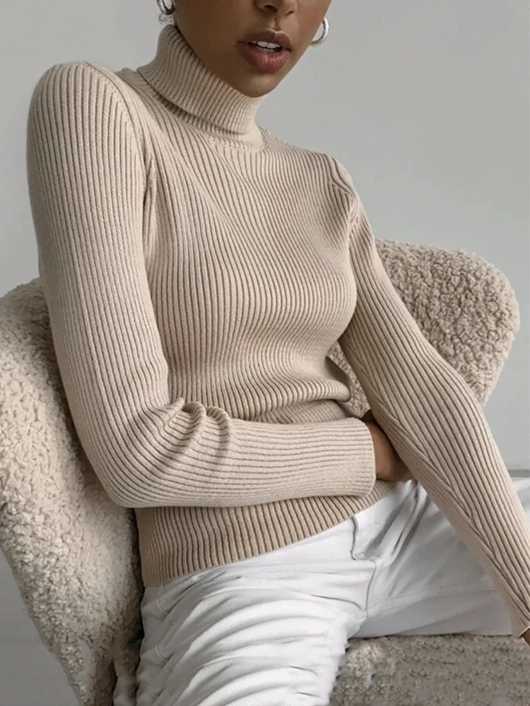

2025 Basic Turtleneck Women Sweaters Autumn Winter Thick Warm Pullover Slim Tops Ribbed Knitted Sweater Jumper Soft Pull Female