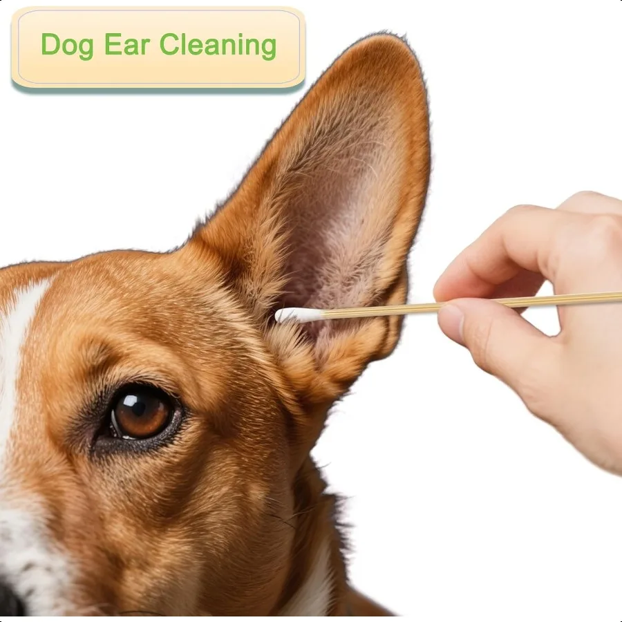 ไม้พันหูต่อแบบยาว 200 ชิ้น ด้ามไม้ สำหรับทำความสะอาด ใช้สำหรับทาเครื่องสำอางแบบน้ำมัน ปืนทาแต่งหน้า ทาตา หู อายแชโดว์