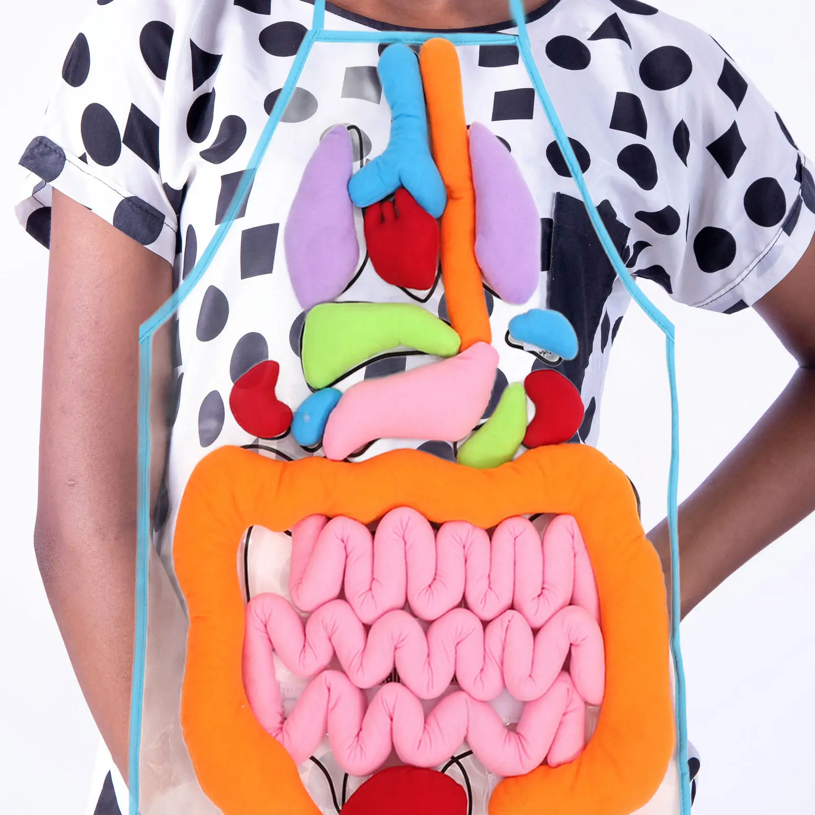 

1Set Human Organs Teaching Apron Premium Material Kids Educational Early Learning Tool 3D Human Organs Apron Cognitive Toy
