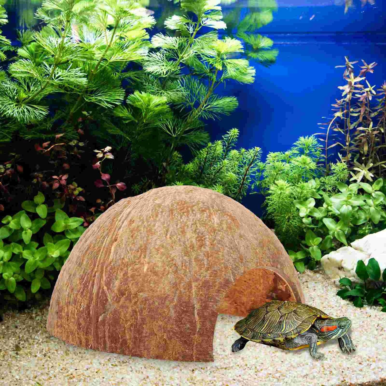 Coconut Hideout House Hermit Crab Cave The Animal Snake Large Adorable Reptile Shell Delicate Leopard Gecko Humid