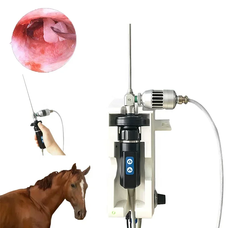 HEIZLE Pet Animal Video Otoscope Endoscope System Digital Endoscopy Wall-mounted Veterinary System With Ccd