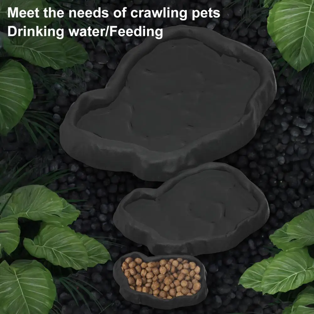 Turtle Water Tray Feeder Terrarium Bowl for Tortoise Lizard Gecko Pet Feeder Bowl for Turtle Scorpion Crab Food for Bearded