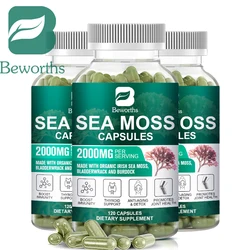 BEWORTHS 120PC Organic Sea Moss Pill Plus Bladder & Burdock Root for Intestinal Health & Immune Support Supplements