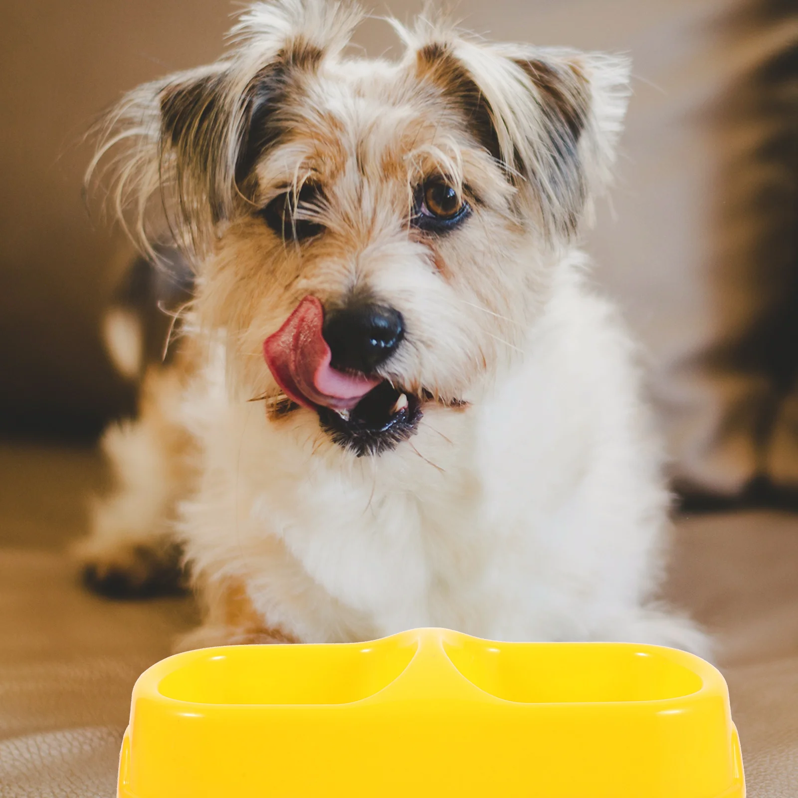 

Double Design Dog Food Non-Skid Large Capacity Pet Feeding Bowl Easy Clean Puppy Feeder Indoor Dog Water Bowl Plastic Pet