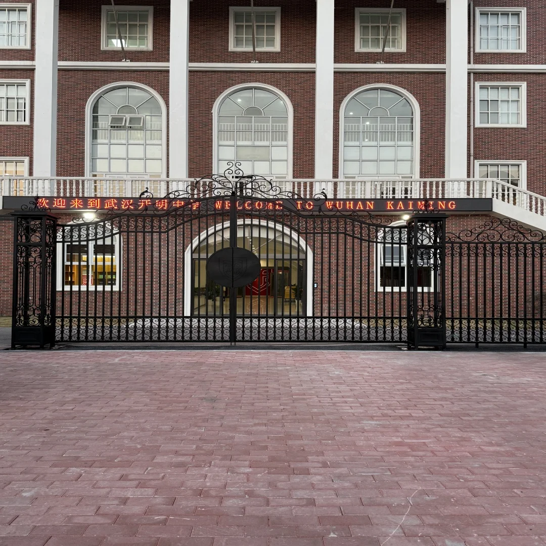 Custom Main Modern Entrance Design Security Dual Swing Wrought Iron Driveway Gates for Farm Houses/Home/Residential/Steel
