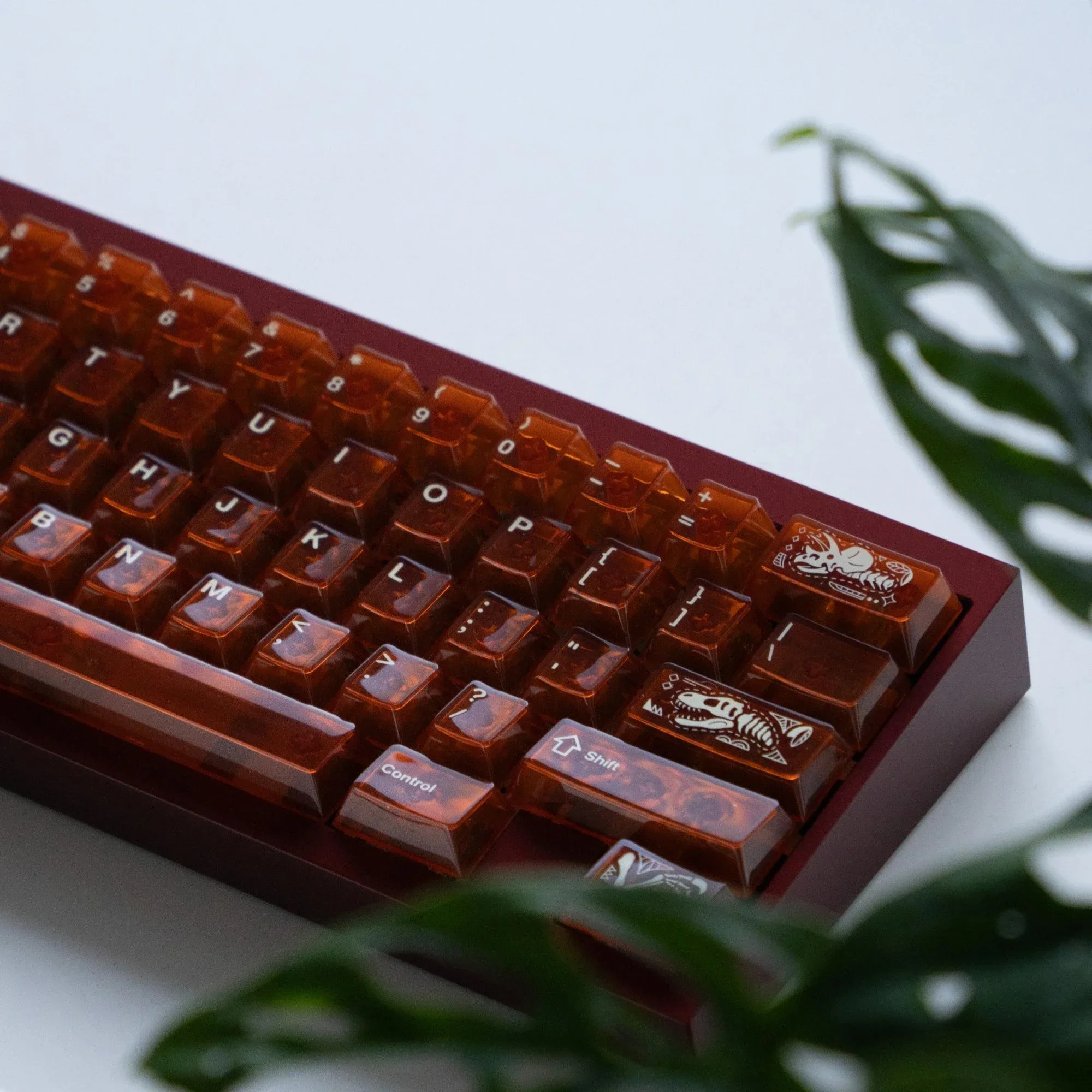 Original Keycap Fossil Amber Keycap Transparent PC Original Factory Height