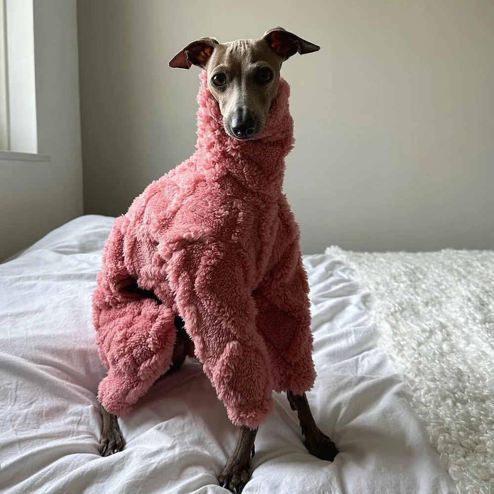 Abrigo invierno grueso cuello alto para galgos y whippet – Forro polar - imagen 3