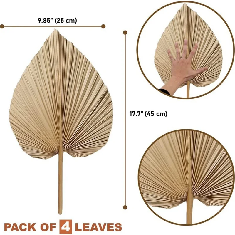 Feuilles de palmier naturelles séchées, parfaites pour la décoration du cuir chevelu, la décoration bohème, la décoration d'intérieur, le mariage, 4 pièces