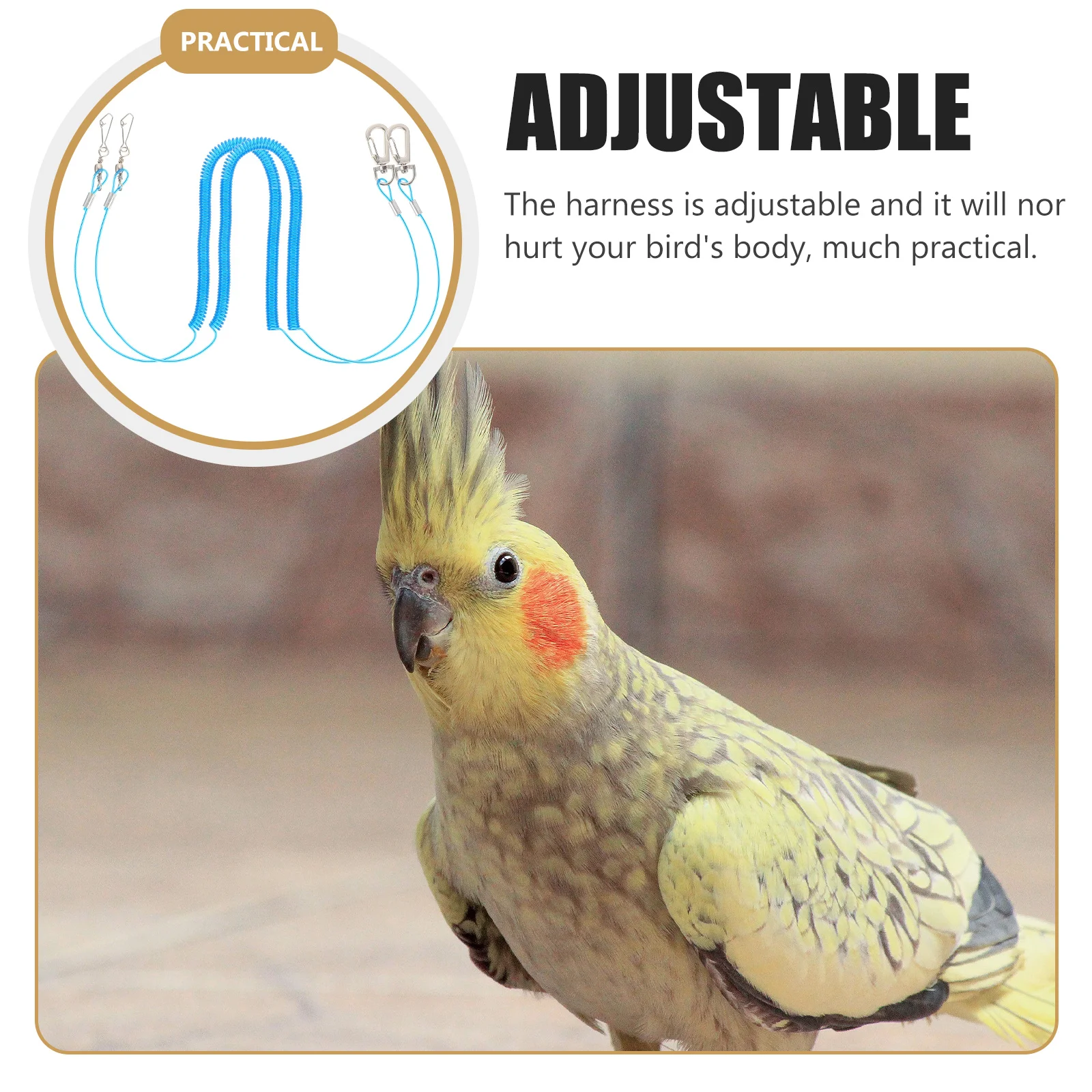 

2 Pcs Bird Harness Leash Adjustable Parrot Flying Rope Blue Outdoor Training Supplies Pet Traction Non Practical Clean