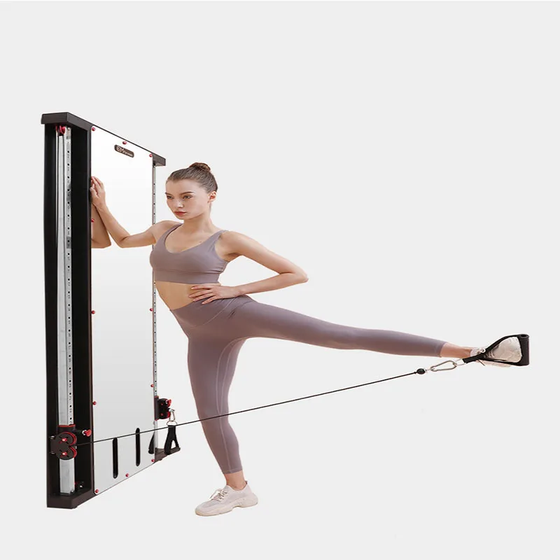 Single Sided Wall Mounted, Mirror Shaped, Flying Bird, Household, Wall Mounted Strength, Comprehensive Training Device