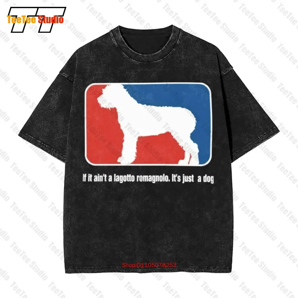 If It Aint A Lagotto Romagnolo Its Just A Dog Vintage Oversized T-Shirt 7N2C