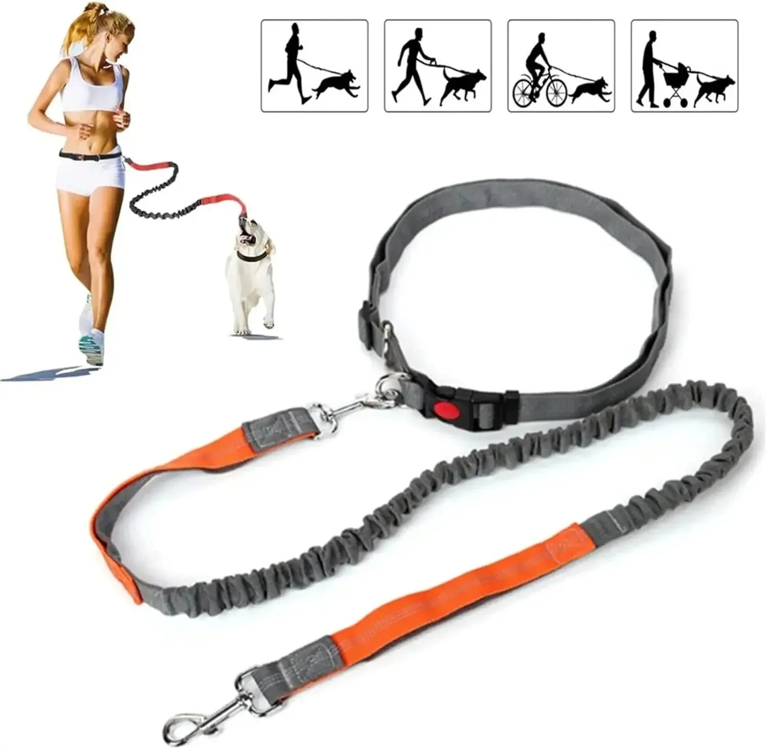 Adjustable Retractable Dog Leash Multi-functional Sports Traction Rope Hands-free Running Reflective Bungee Design.